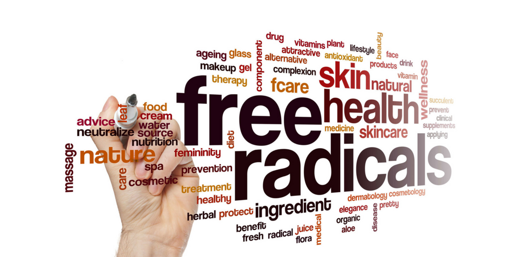 What are free radicals and how do they affect the body?