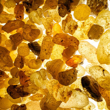 yellowish brown boswellia serrata resins