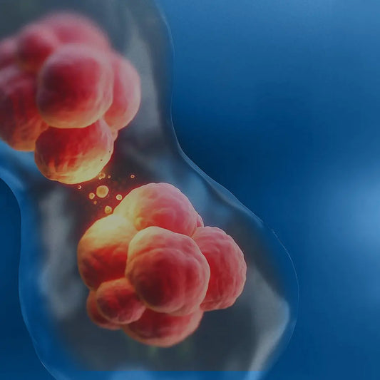 Chronic Inflammation: The Common Thread Connecting Modern Health Problems