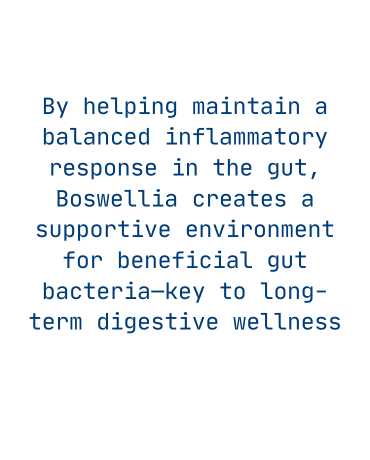 Good Gut microbiota back image