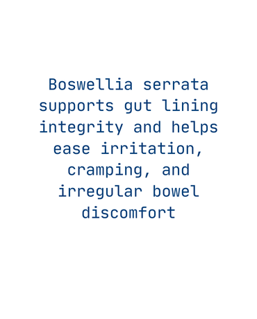 Irritable Bowel back image
