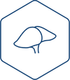 Liver Health logo