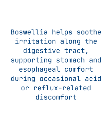 Reflux back image
