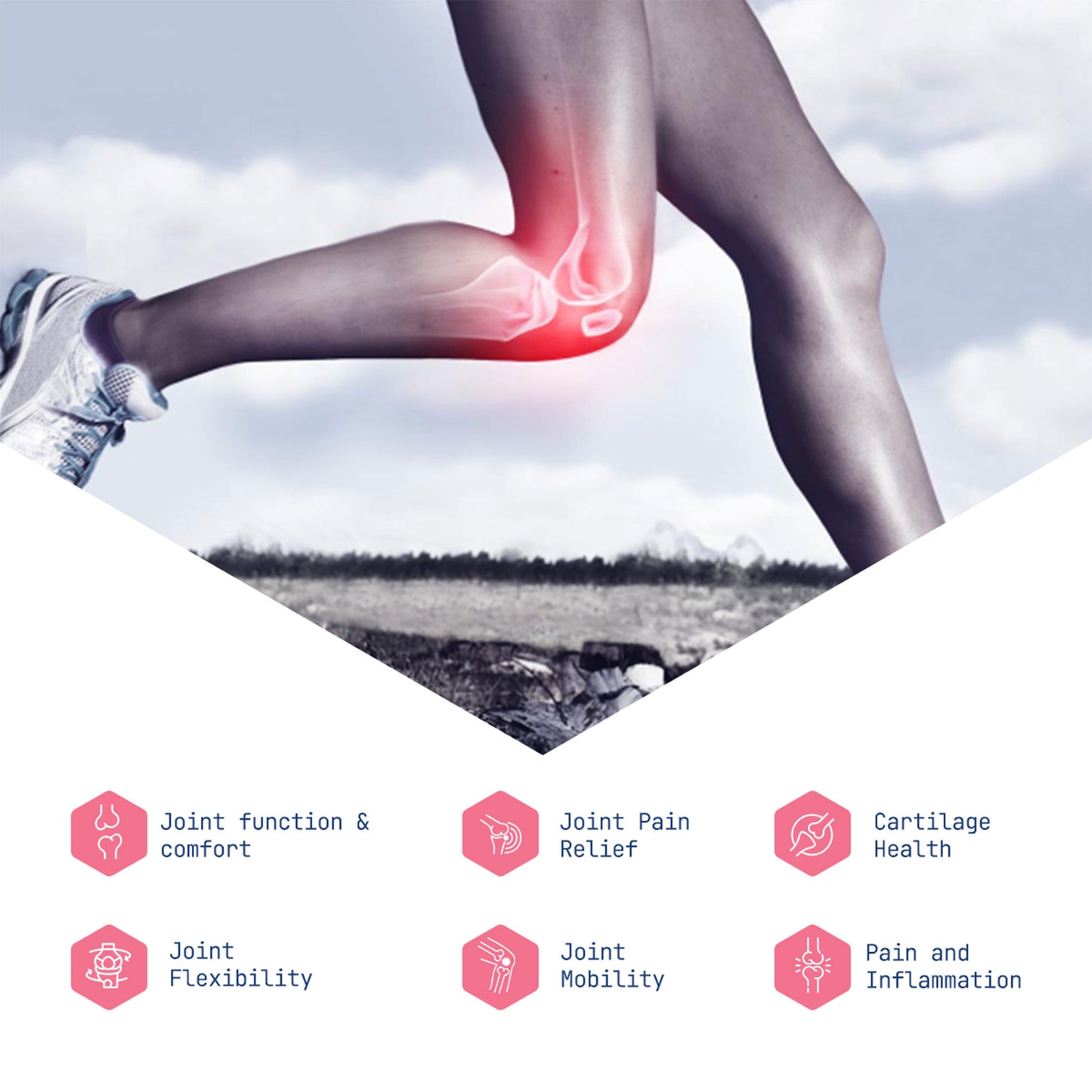 TRIPLE ACTION JOINT FORMULA (UC-II® + Aflapin® + TurmXTRA®)