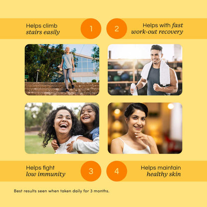 Starter Kit | For healthy joints, a calm mind and a healthy gut